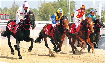 4203925_hnrbtp3_1549549485670_b