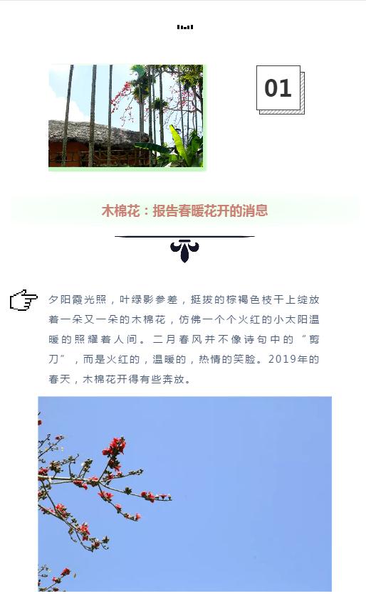 微信截圖_20190221112659