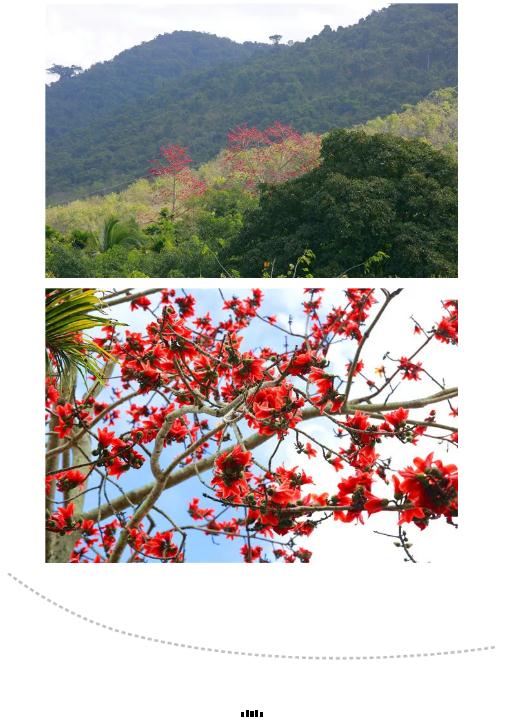 微信截圖_20190221112812