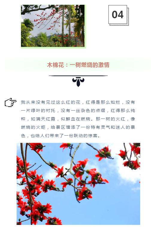 微信截圖_20190221112930