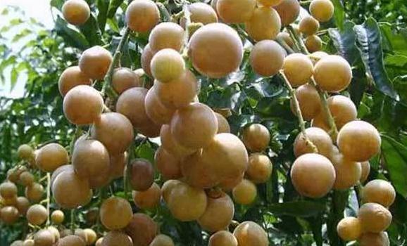 微信截圖_20190226112502