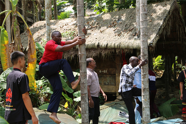非洲記者團(tuán)成員挑戰(zhàn)爬檳榔樹_副本