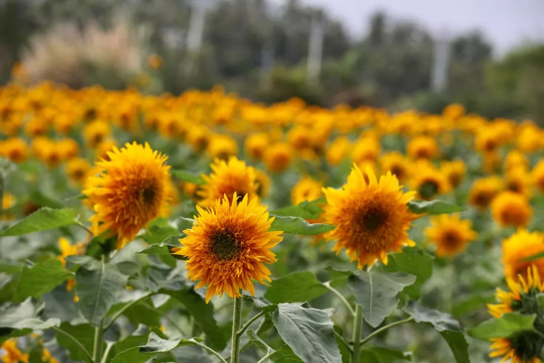 微信圖片_20190508110237