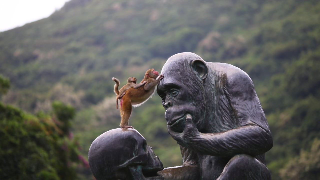 微信圖片_20190517145615