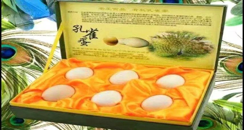 微信圖片_20190603092051