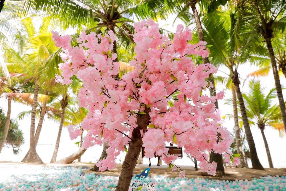 微信圖片_20190605085005