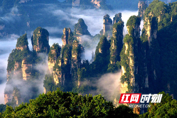 cbd1981a-bcb0-424a-a52f-7961a4639f05