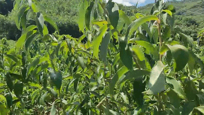 微信圖片_20190704163353