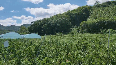 微信圖片_20190704163330