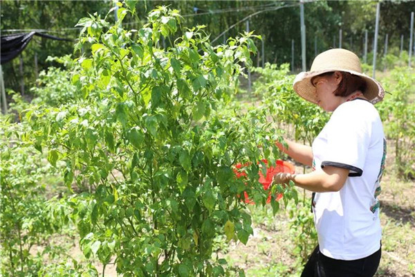 微信圖片_20190708171554