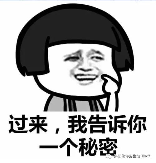 微信圖片_20190712100039