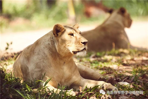 微信圖片_20190712095527