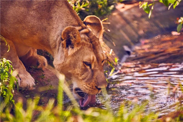 微信圖片_20190712095521