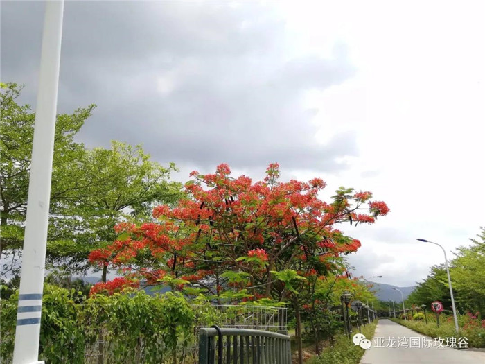 微信圖片_20190718164328