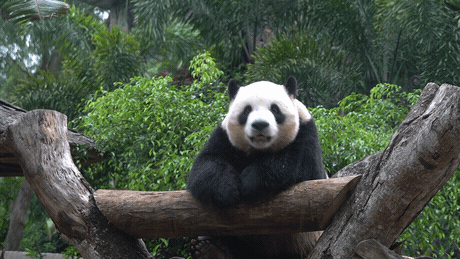 微信圖片_20190718153547