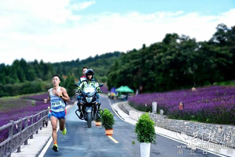 407a43375f61840a027515828d717e45