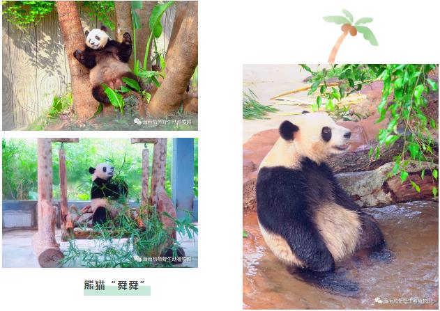 微信截圖_20190803160219