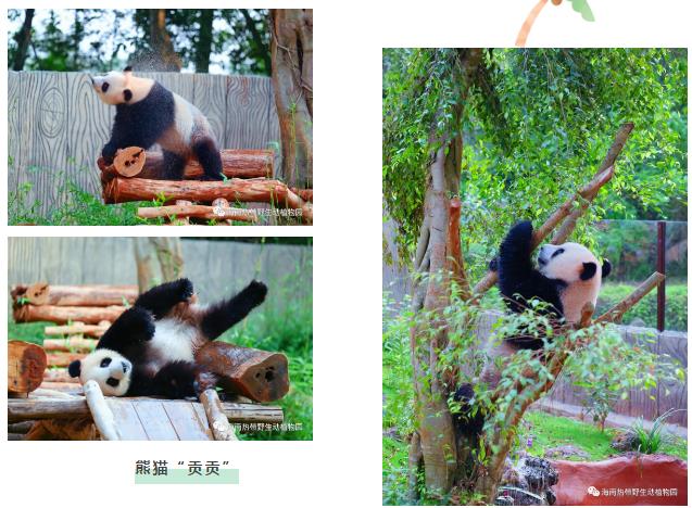 微信截圖_20190803160159