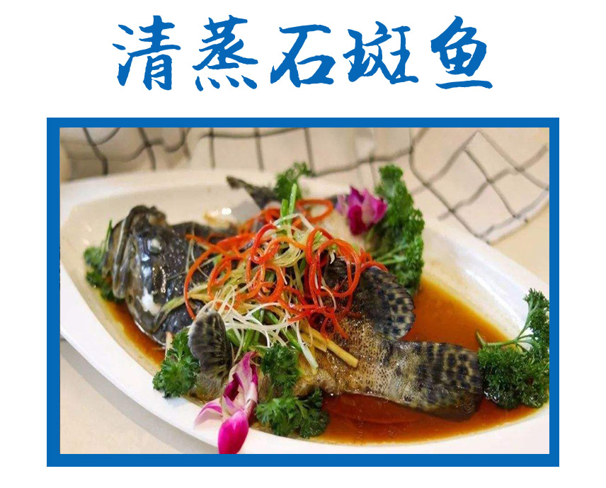 00320277705_0e778404