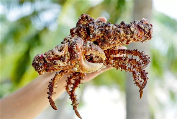 微信圖片_20191031091812