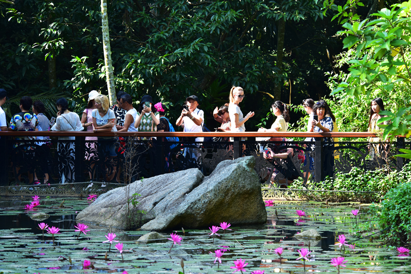 微信圖片_20191121102208