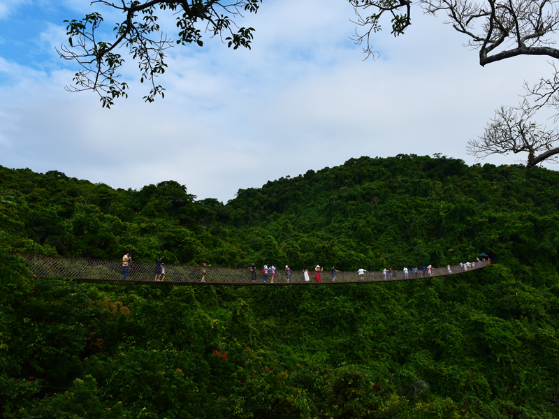 微信圖片_20191128085954