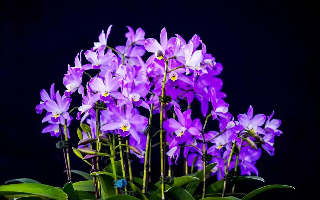 微信圖片_20191231150206