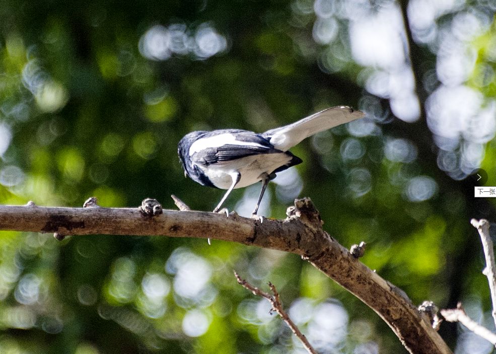 微信圖片_20200313203153