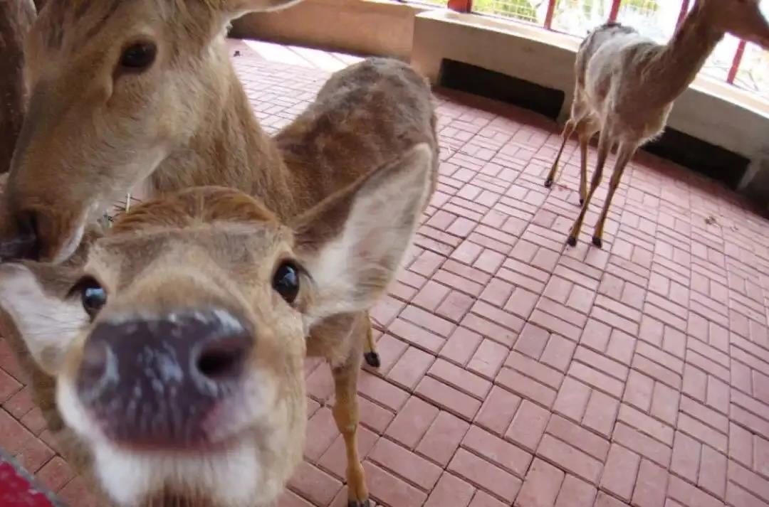 微信圖片_20200313203223