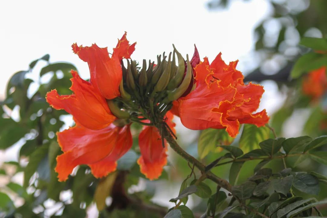 微信圖片_20200326094153