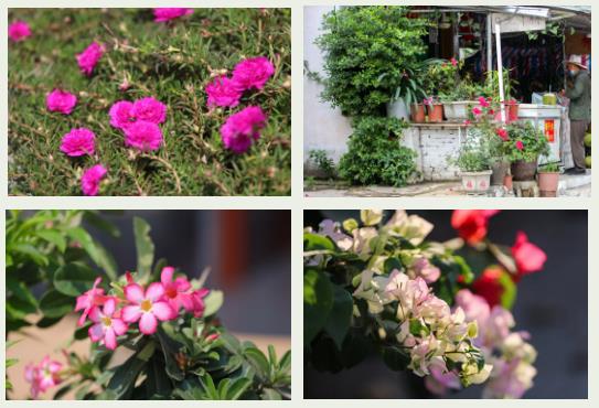 微信截圖_20200326094241