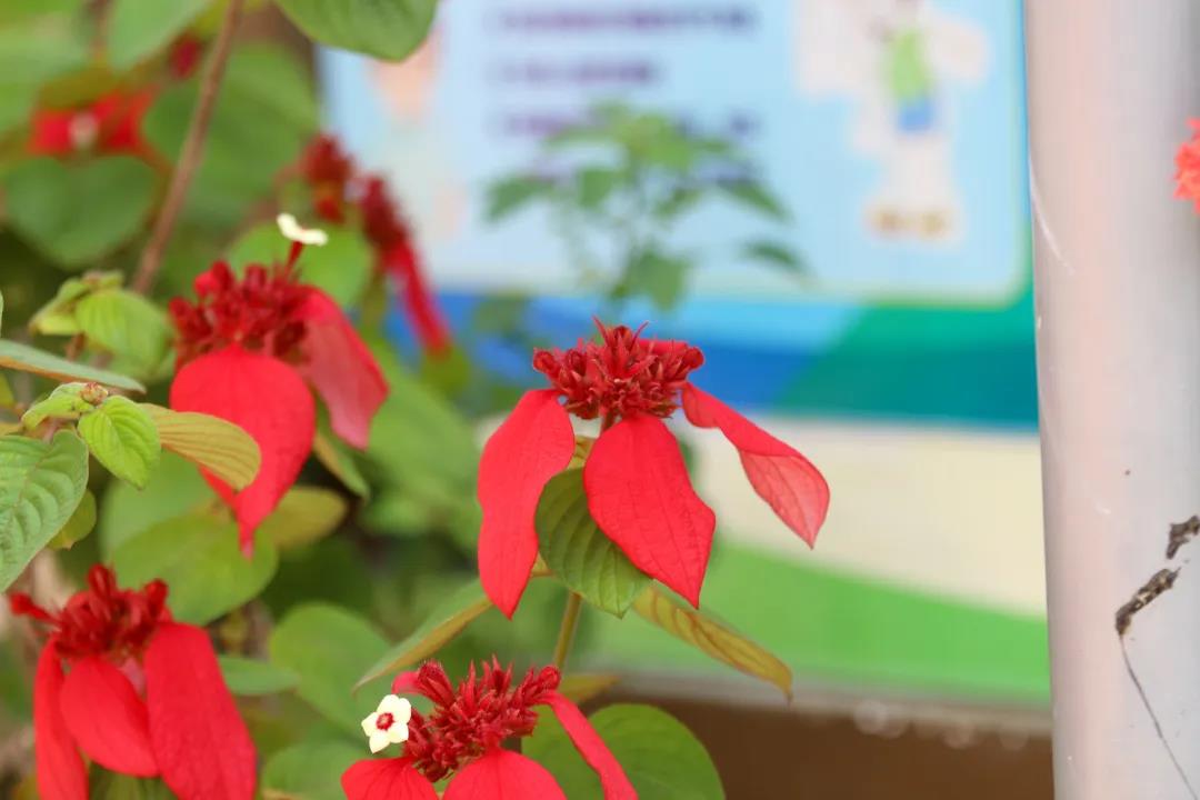 微信圖片_20200326094202