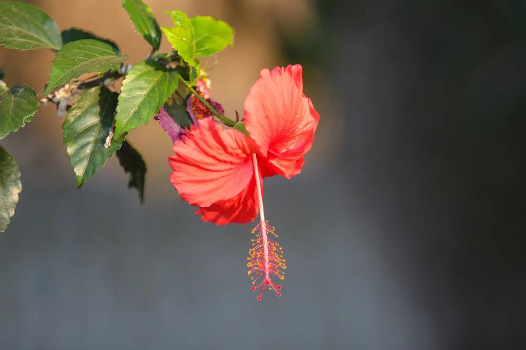 微信圖片_20200326094207