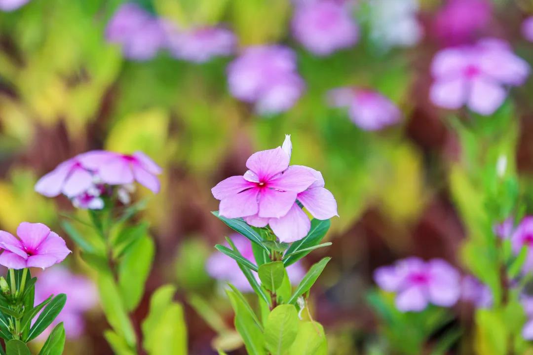 微信圖片_20200326094212