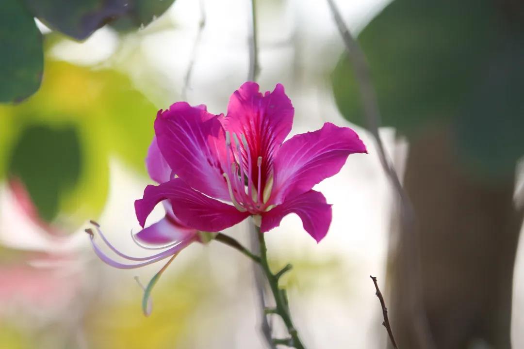 微信圖片_20200326094216