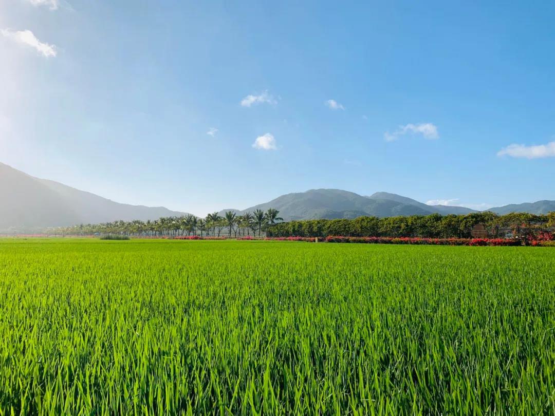 微信圖片_20200428095934