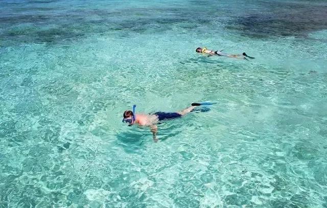 微信圖片_20200428095857