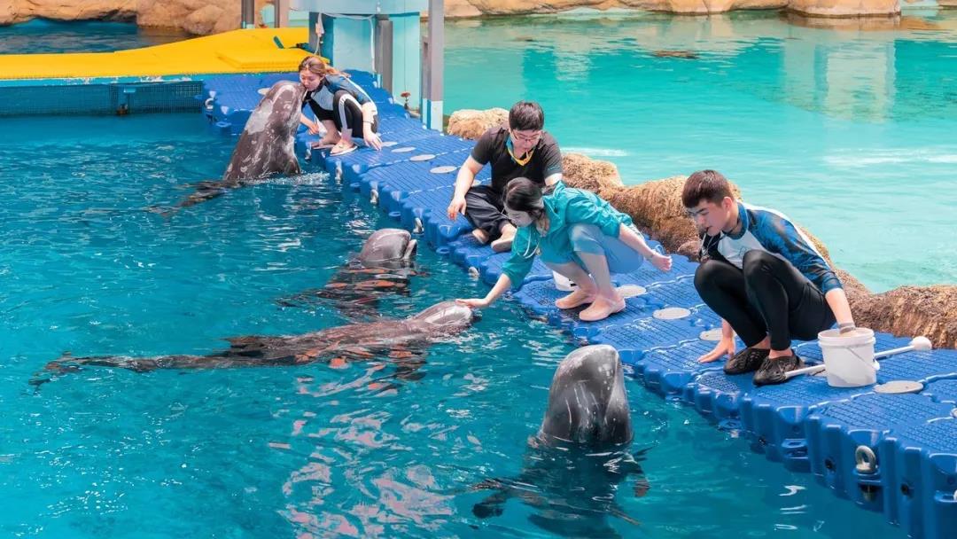 微信圖片_20200501125247