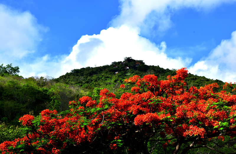 微信圖片_20200609181840