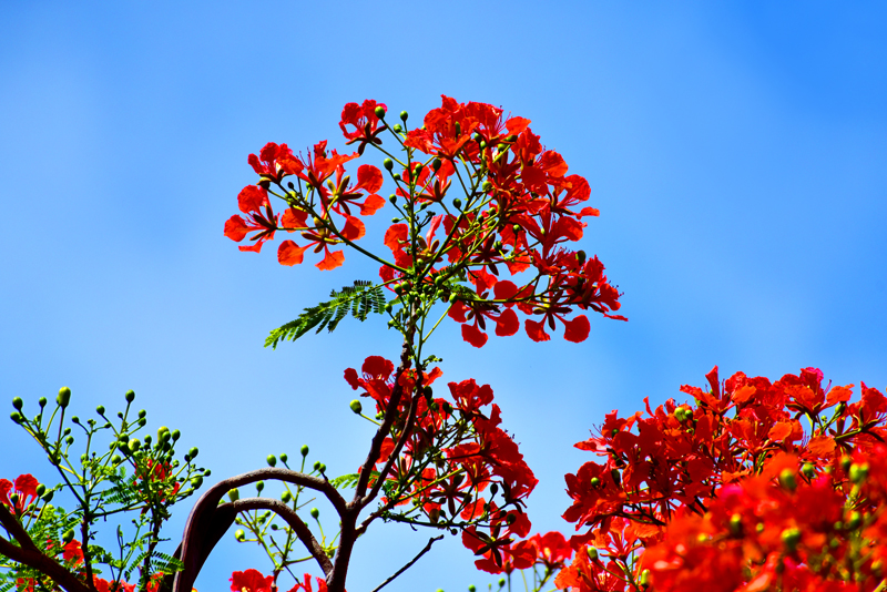 微信圖片_20200609181922