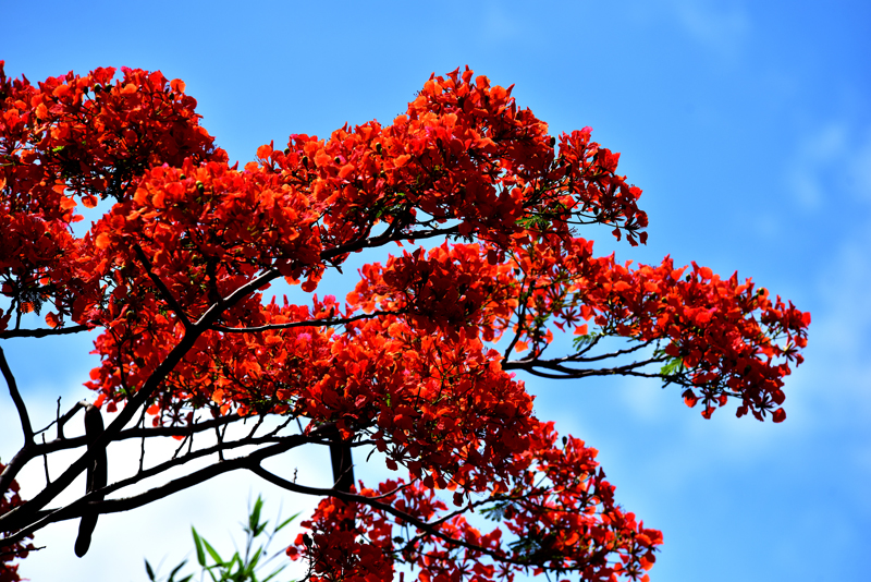 微信圖片_20200609181854