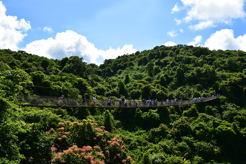 微信圖片_20200628112943