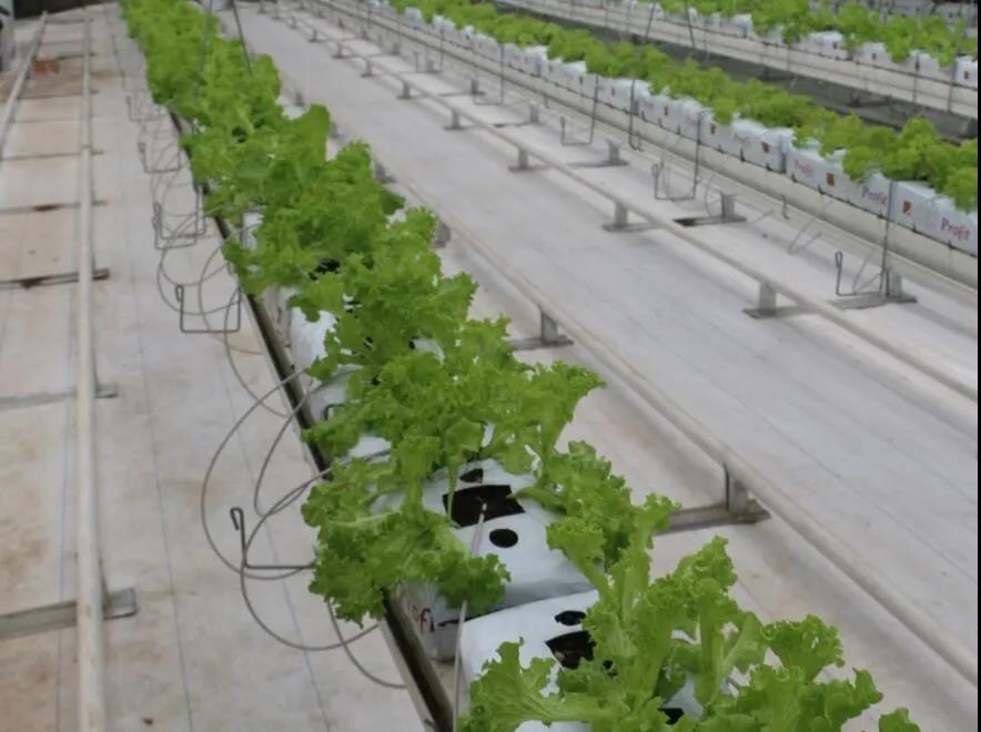 微信圖片_20200922182045