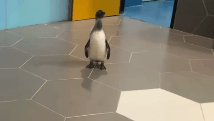 微信圖片_20200926151730