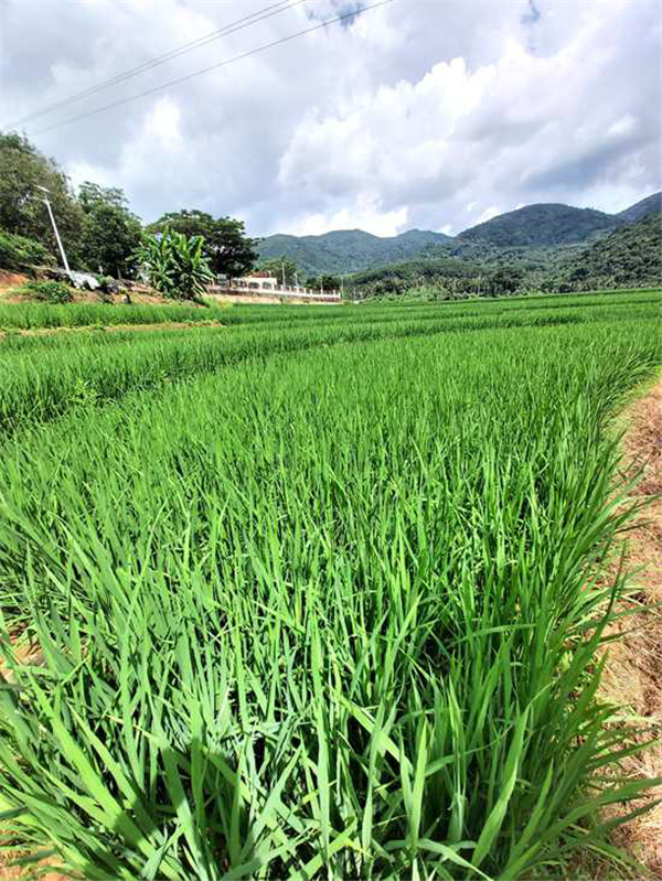 微信圖片_20200929170619