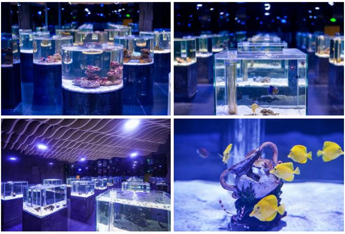 微信截圖_20200930184128