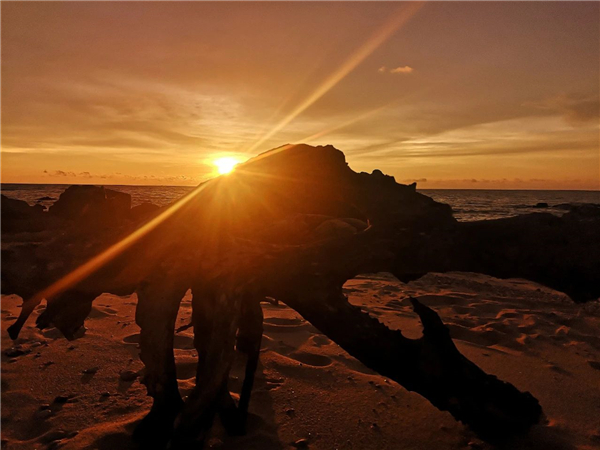 微信圖片_20200930133748