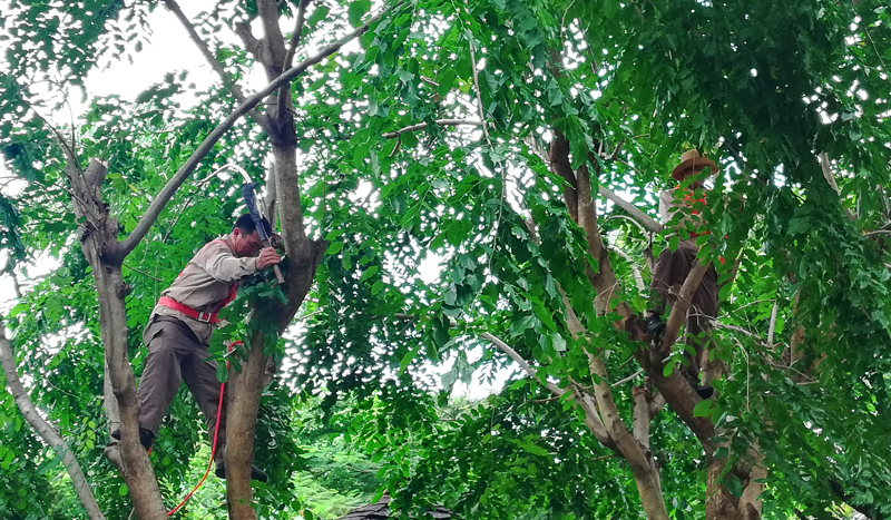 微信圖片_20201013162411