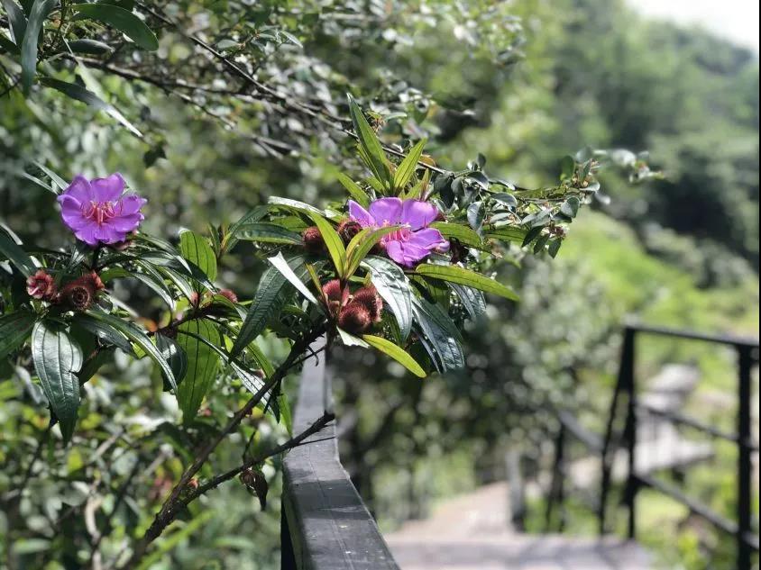 微信圖片_20201102222445