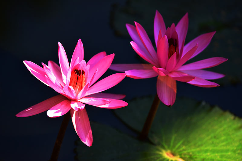 微信圖片_20201212100600